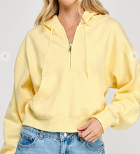 Load image into Gallery viewer, 1/4 Zip Hoodie **9 COLORS**